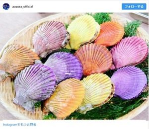 青空レストラン　愛媛県・愛南ヒオウギ貝　南宇和海　販売