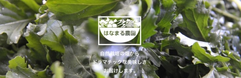 はなまる農園（青空レストラン）コリンキー・夏野菜　通販
