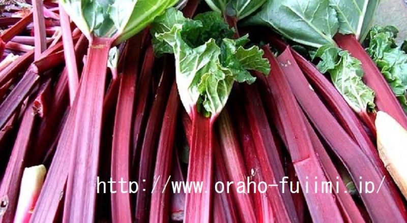 青空レストラン　ルバーブ・ジャム　川田裕美　長野県富士見町　レシピ