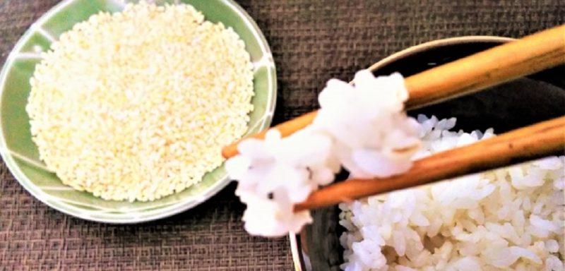 もち麦（なぜ痩せる）βグルカン　水溶性食物繊維　仕組み　名医のTHE太鼓判