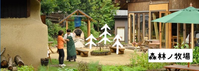 森林ノ牧場（ジャージー牛乳）搾るヨーグルト　旅サラダ（コレうま）