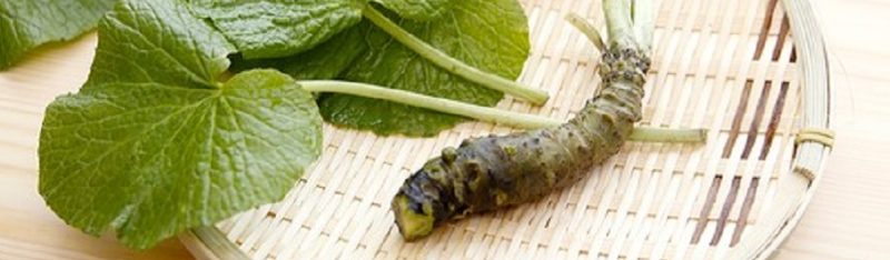 長野県農家、血液サラサラ薬味「わさび」簡単レシピ　ジョブチューン