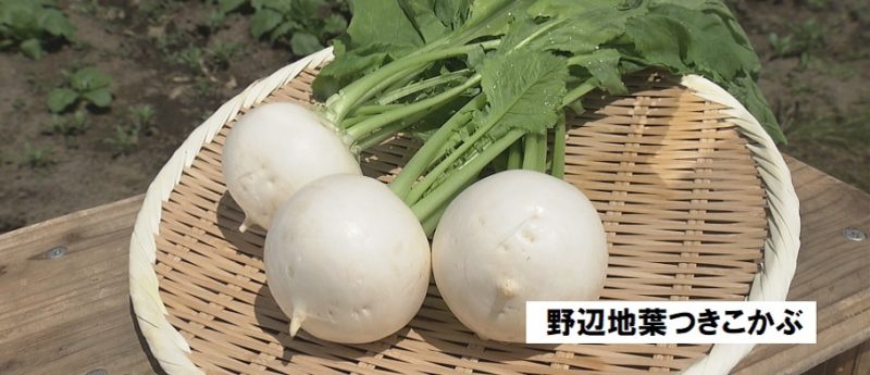 生で食べれる野辺地葉つきこかぶ　青森県　NHKうまいッ！通販