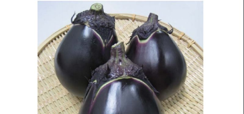 鳥飼茄子　大阪府摂津市　種子　青空レストラン　レシピ