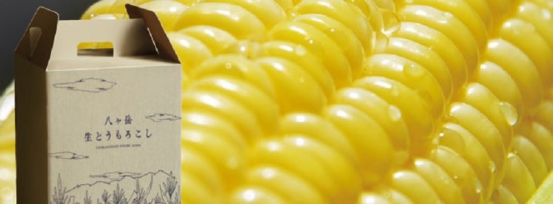 旅サラダ　八ヶ岳生とうもろこし　長野県原村　販売