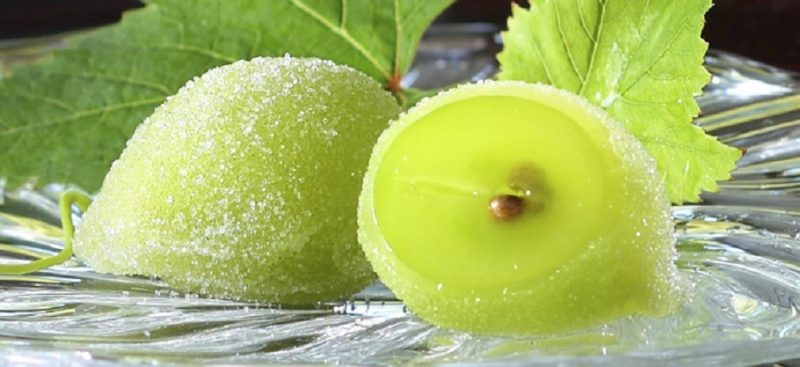 林修が厳選　失敗しない手土産「和菓子」ニッポンドリル