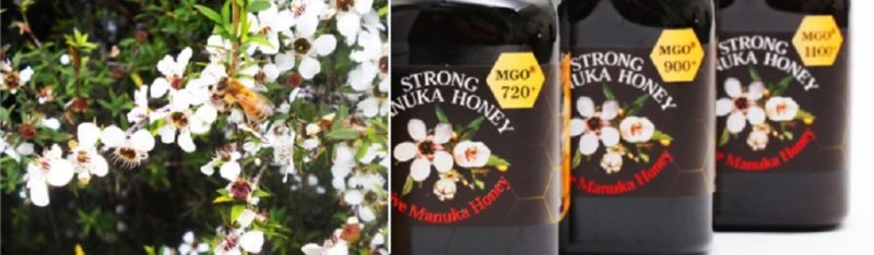 TCNのマヌカハニーはMGOは1100+と最高値クラス