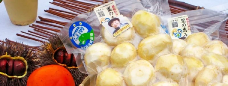 上庄さといも専門店　上庄さといも（いのお飯）通販