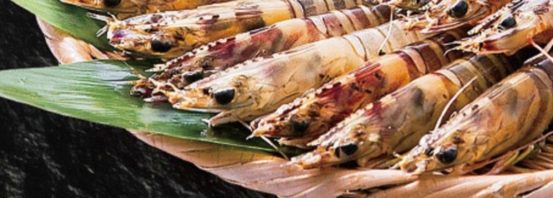 青空レストラン　オリーブ車海老　10/20放映　仁尾産商のお取り寄せ