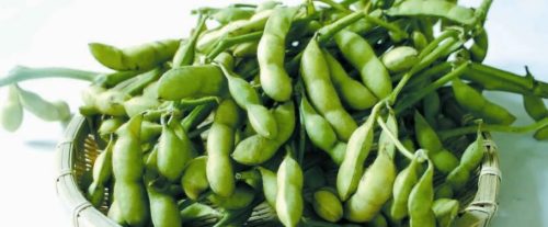 いのお飯　作州黒枝豆（岡山県産）購入