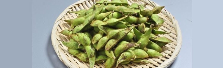 丹波黒大豆の枝豆です。47クラブ　予約・お取り寄せ