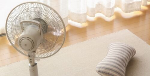 進化した最新扇風機　家電ライターイチ推しの扇風機はこれ